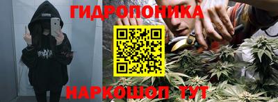 индика Можайск