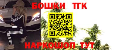 индика Можайск